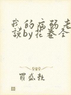 我的病弱老婆小说by花卷全文
