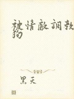 被情敌调教成母狗