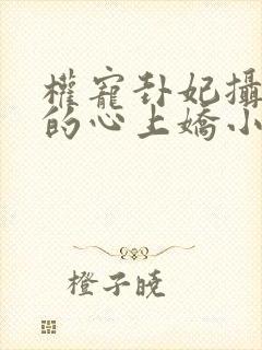 权宠卦妃摄政王的心上娇小说封面