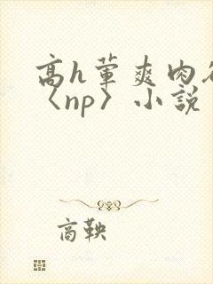 高h荤爽肉欲文〈np〉小说封面