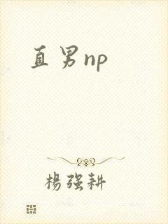 直男np