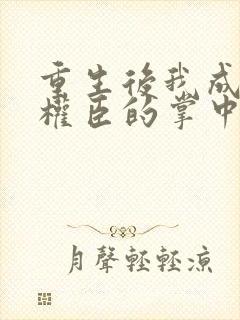 重生后我成为了权臣的掌中娇