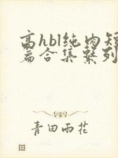 高hbl纯肉短篇合集系列