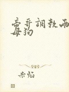 帝哥调教两个骚母狗