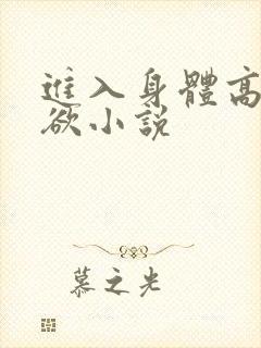 进入身体高潮情欲小说