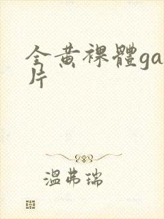 全黄裸体gay片