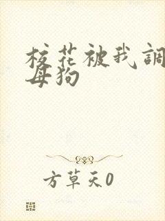 校花被我调教成母狗