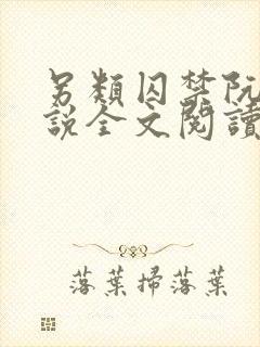 另类囚禁阮庭小说全文阅读