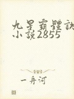 九星霸体诀有声小说2855