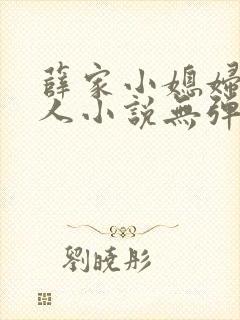 薛家小媳妇笑佳人小说无弹窗