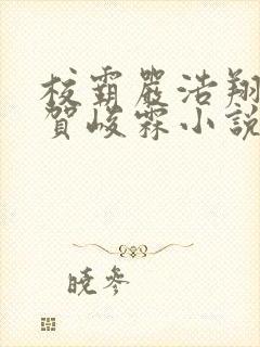 校霸严浩翔校草贺峻霖小说