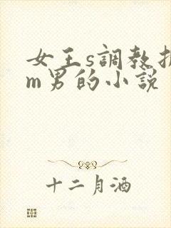 女王s调教折磨m男的小说封面