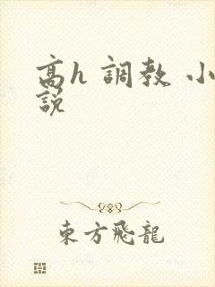 高h 调教 小说