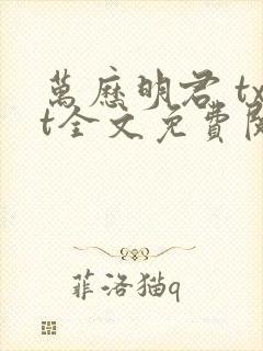 万历明君 txt全文免费阅读封面