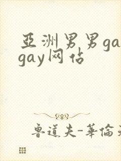 亚洲男男gaygay网站
