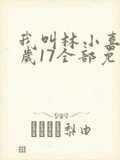 我叫林小喜今年岁17全部免费阅读