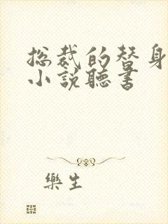 总裁的替身前妻小说听书封面