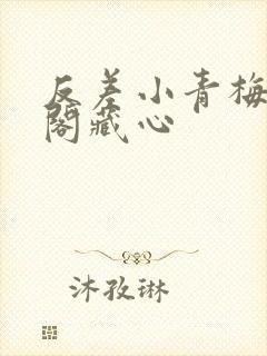 反差小青梅笔趣阁藏心