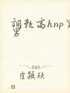 调教高hnp男男