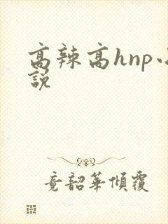 高辣高hnp小说