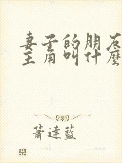 妻子的朋友的女主角叫什么封面