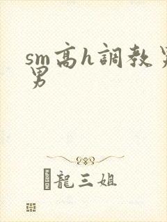 sm高h调教男男