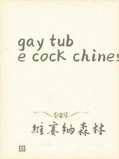 gay tube cock chinese