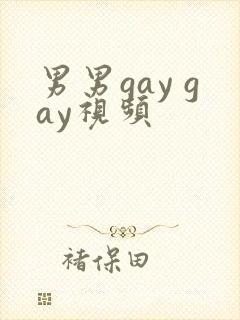 男男gay gay视频