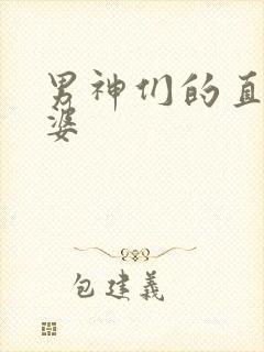 男神们的直男老婆