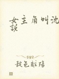 女主角叫沈的小说封面