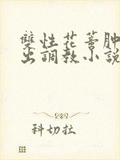 双性花蒂肿大露出调教小说封面