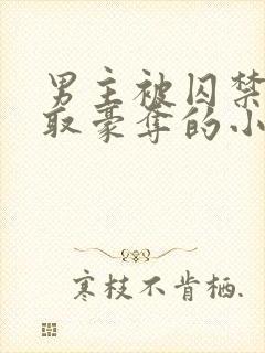 男主被囚禁被强取豪夺的小说笔趣阁封面
