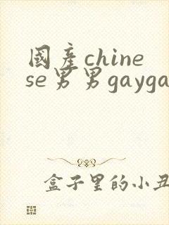 国产chinese男男gaygay网站xnxx封面