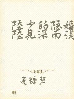 陆少的隐婚罪妻陆见深南溪