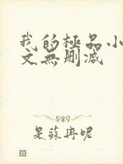 我的极品小姨全文无删减封面
