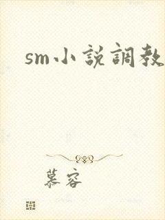 sm小说调教h