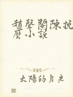 赵声阁陈挽是什么小说