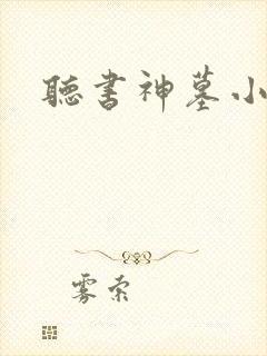 听书神墓小说