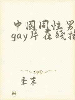 中国同性男男黄gay片在线播放封面