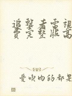 追击者电视剧免费完整版高清