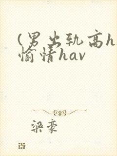 (男出轨高h)愉情hav