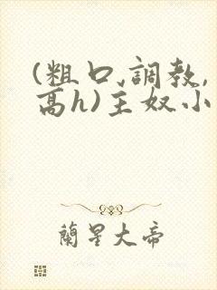 (粗口,调教,高h)主奴小说