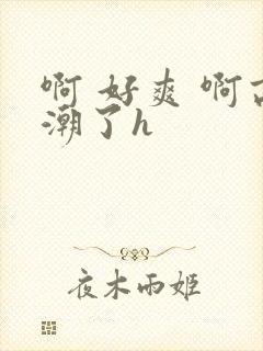 啊 好爽 啊高潮了h