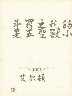 斗罗之我的武魂是五圣兽小说