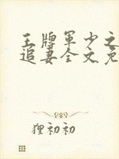 王牌军少之特战追妻全文免费txt