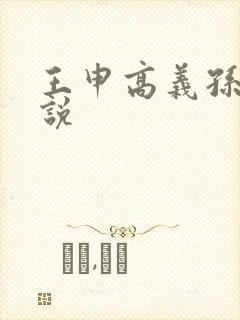 王申高义孙倩小说