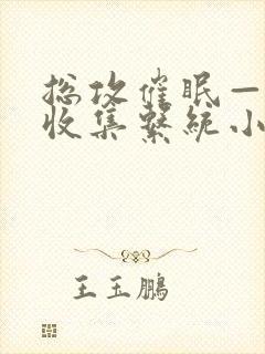 总攻催眠—情欲收集系统小说免费阅封面