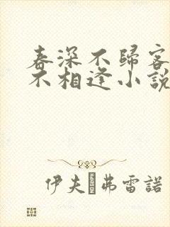 春深不归客清梦不相逢小说免费
