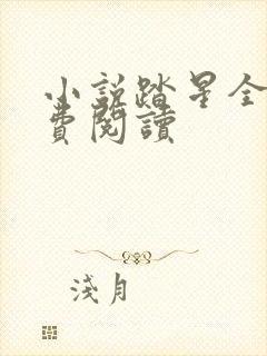 小说踏星全文免费阅读