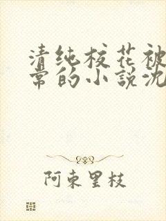 清纯校花被擒日常的小说沈柔